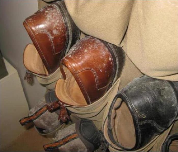 Shoes hang in shoe organizer with mold growth around the heels